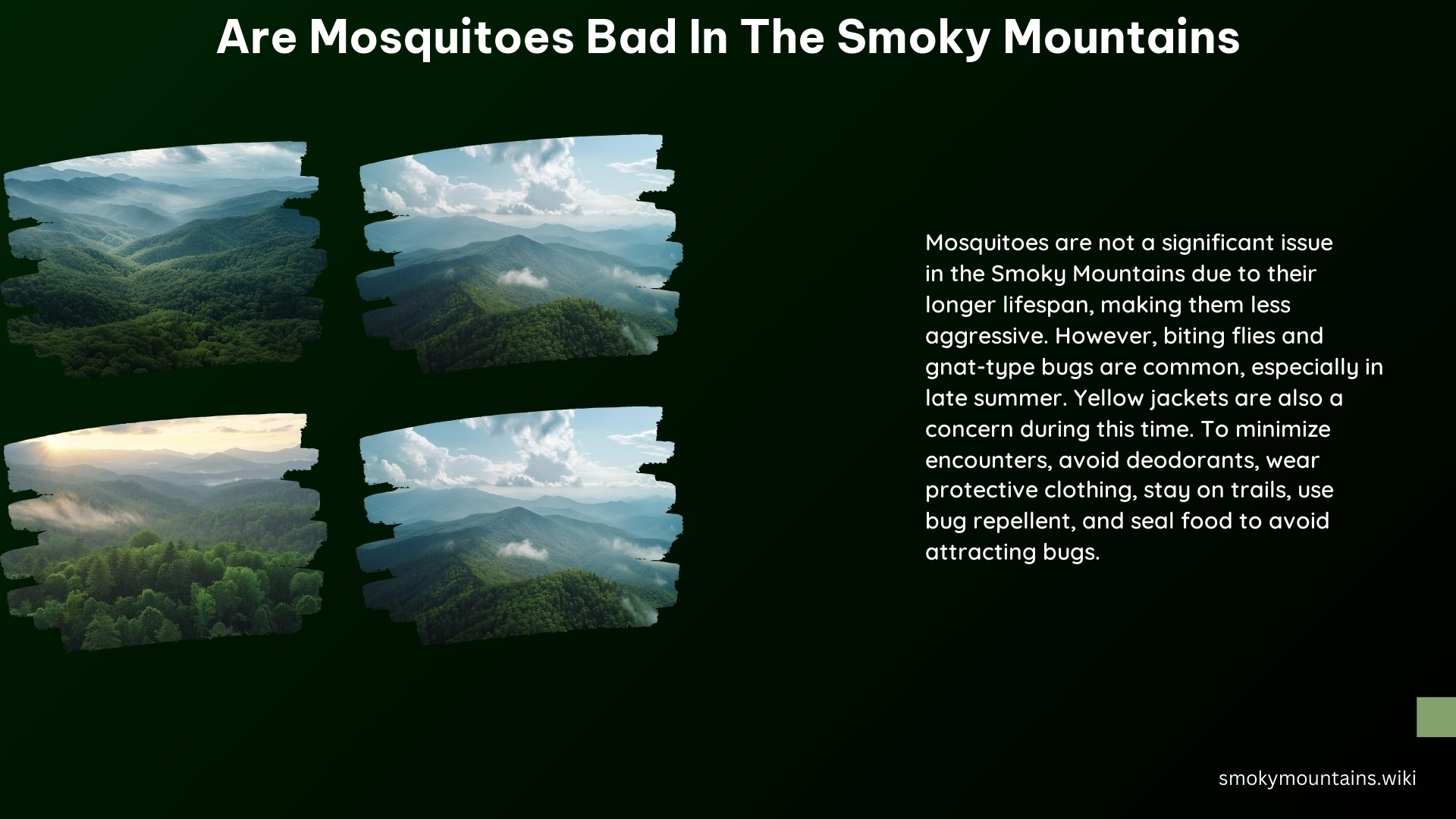 Are Mosquitoes Bad in the Smoky Mountains