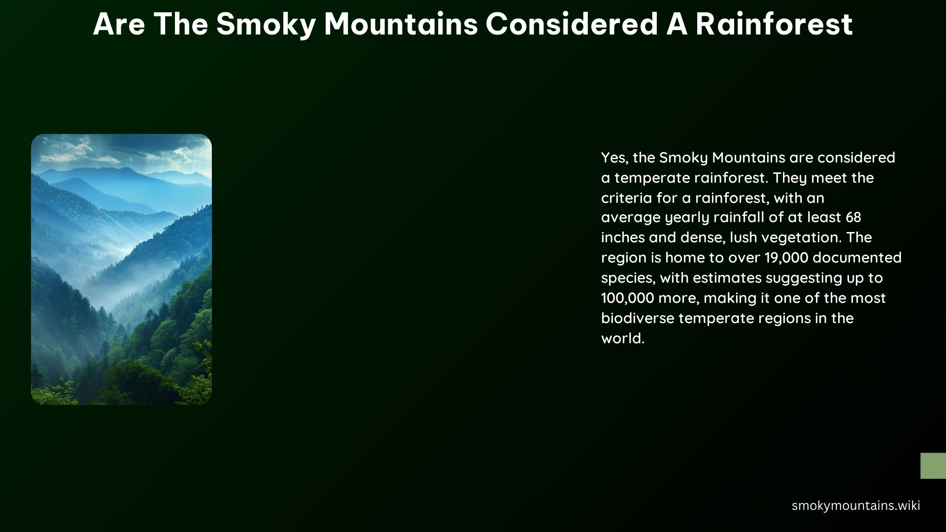 Are the Smoky Mountains Considered a Rainforest