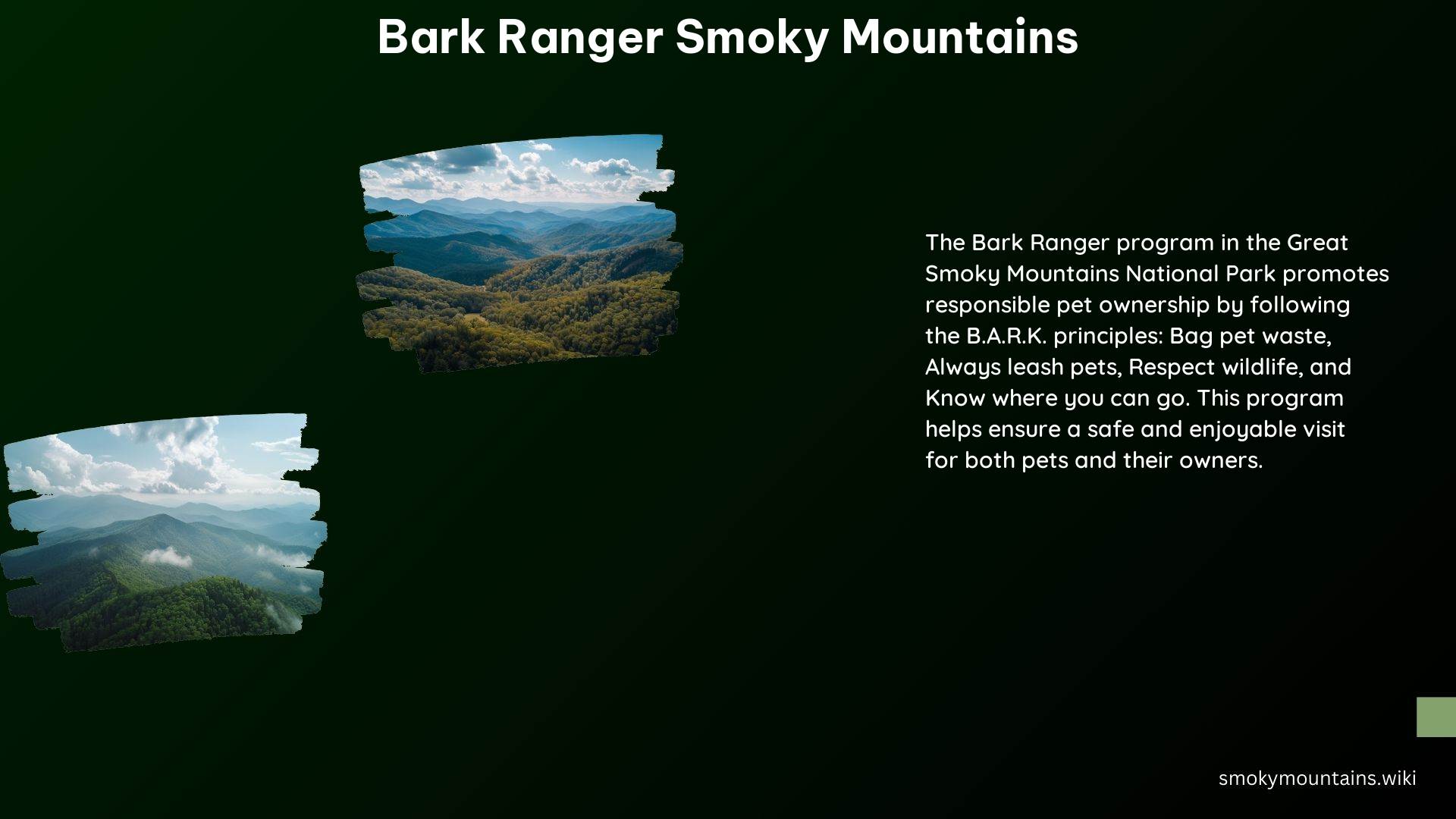 Bark Ranger Smoky Mountains