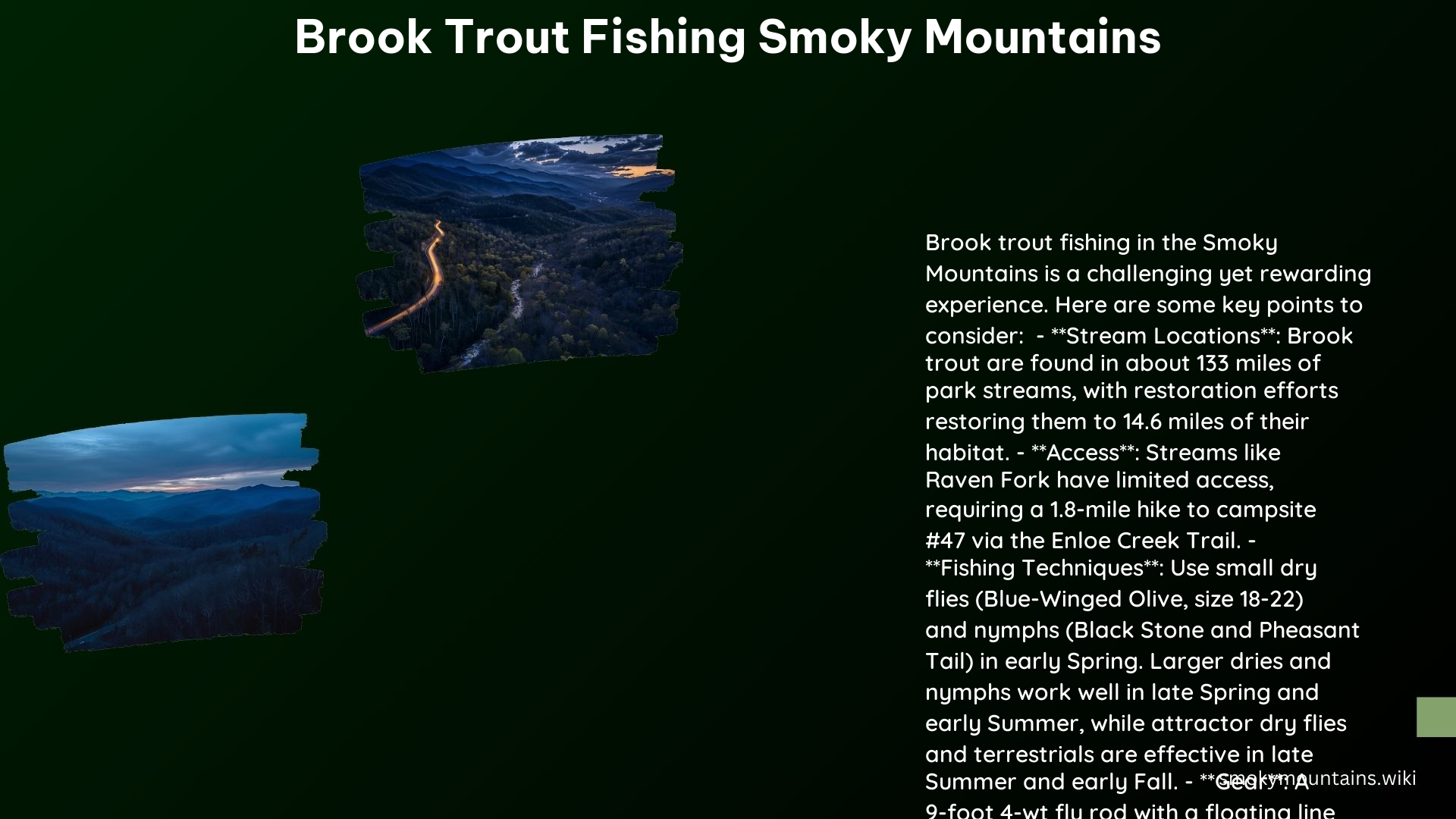 Brook Trout Fishing Smoky Mountains