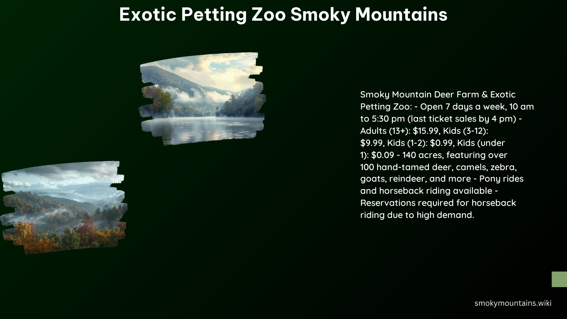 Exotic Petting Zoo Smoky Mountains