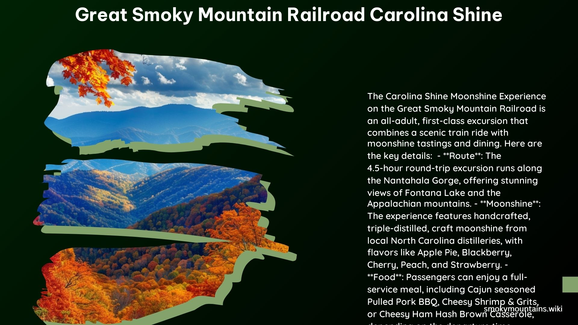 Great Smoky Mountain Railroad Carolina Shine