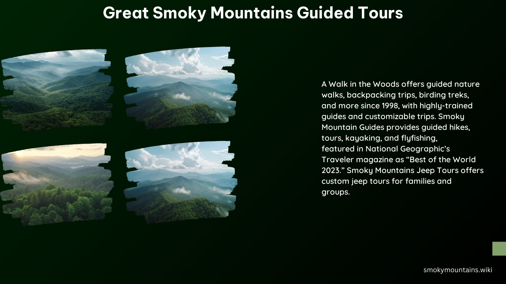 Great Smoky Mountains Guided Tours