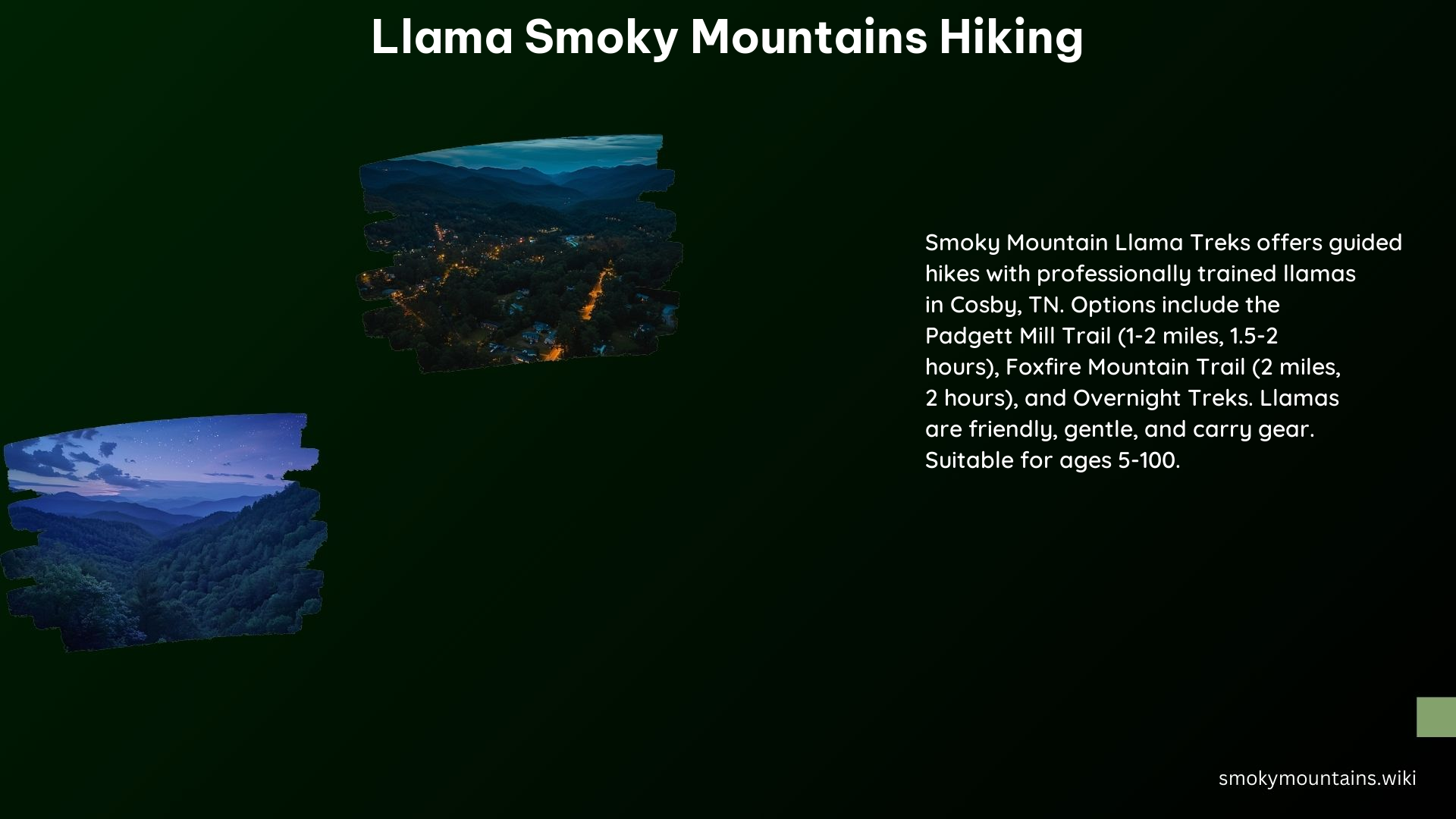 Llama Smoky Mountains Hiking