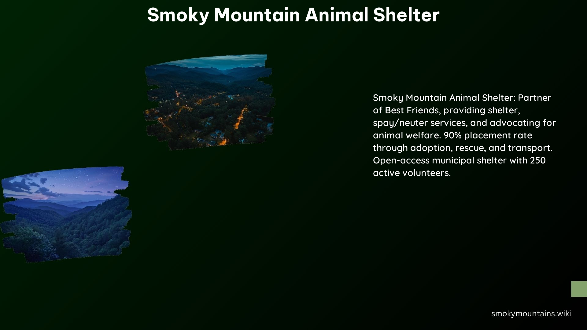 Smoky Mountain Animal Shelter