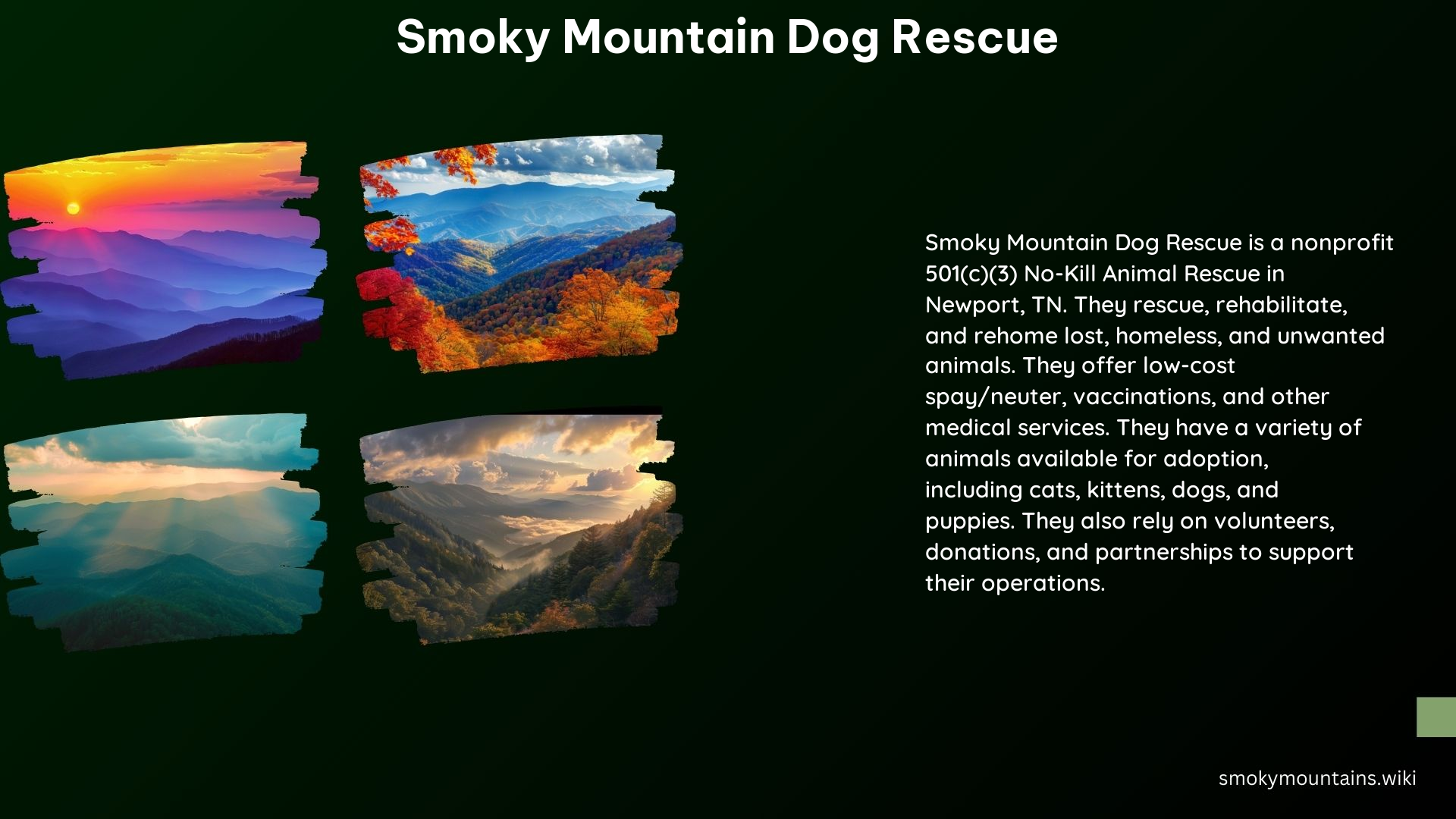 Smoky Mountain Dog Rescue