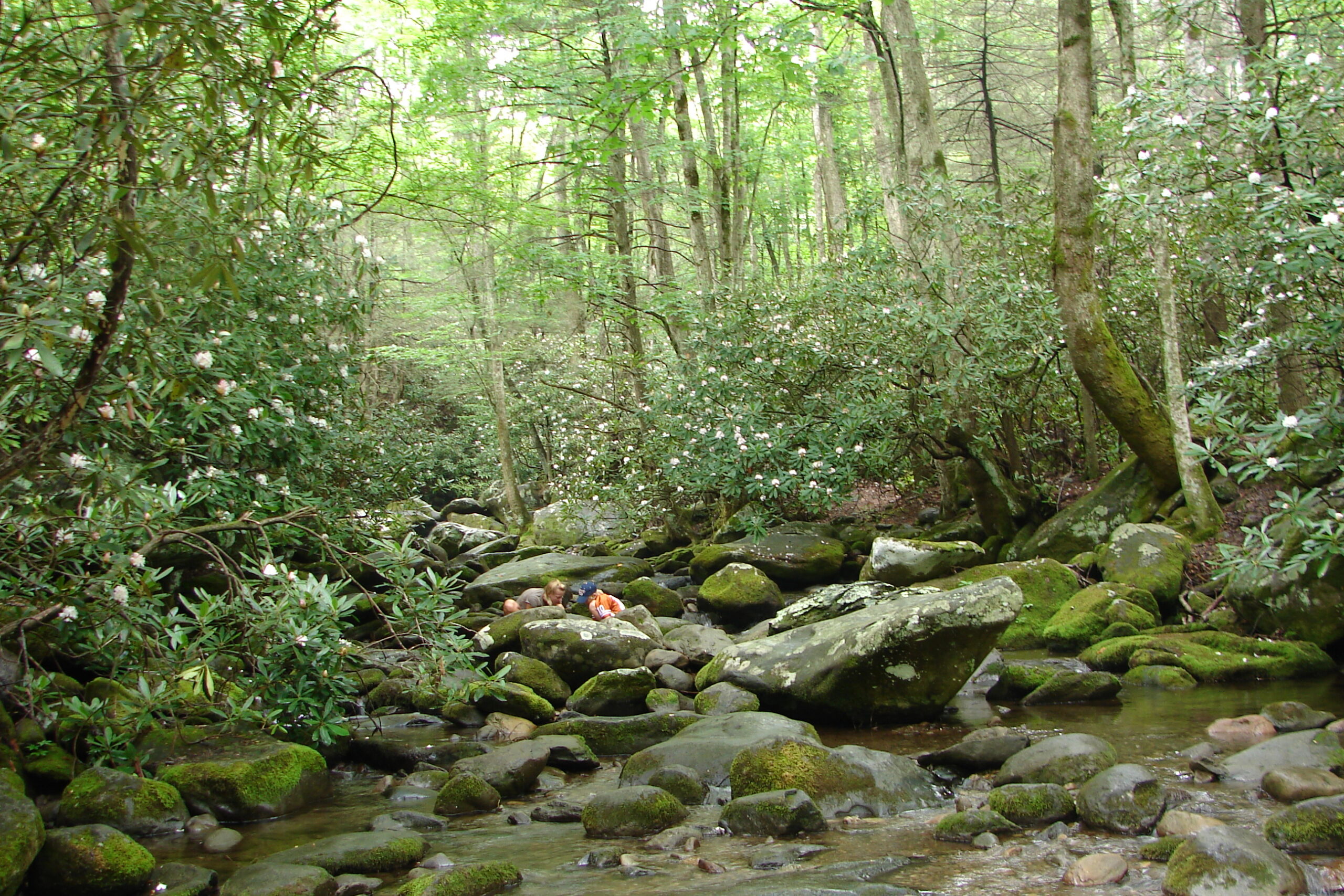 Is Smoky Mountain National Park Free