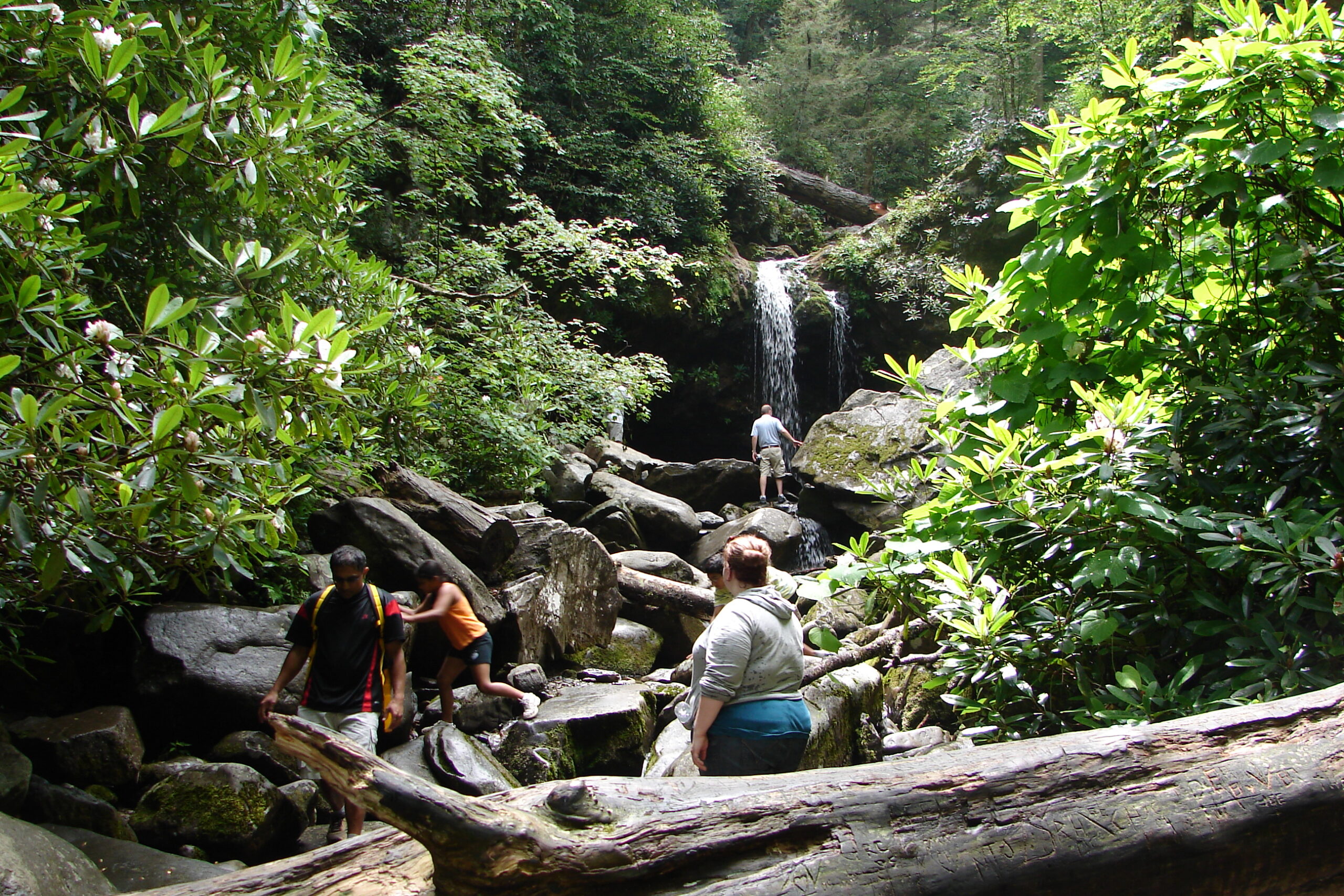 Kid Hikes Smoky Mountains