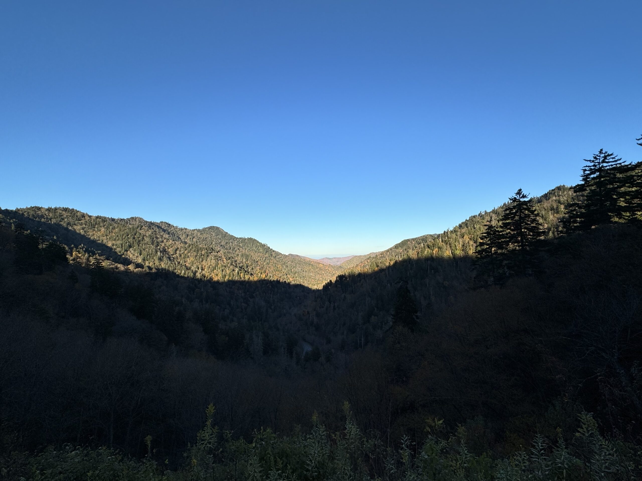 Llama Smoky Mountains Hiking