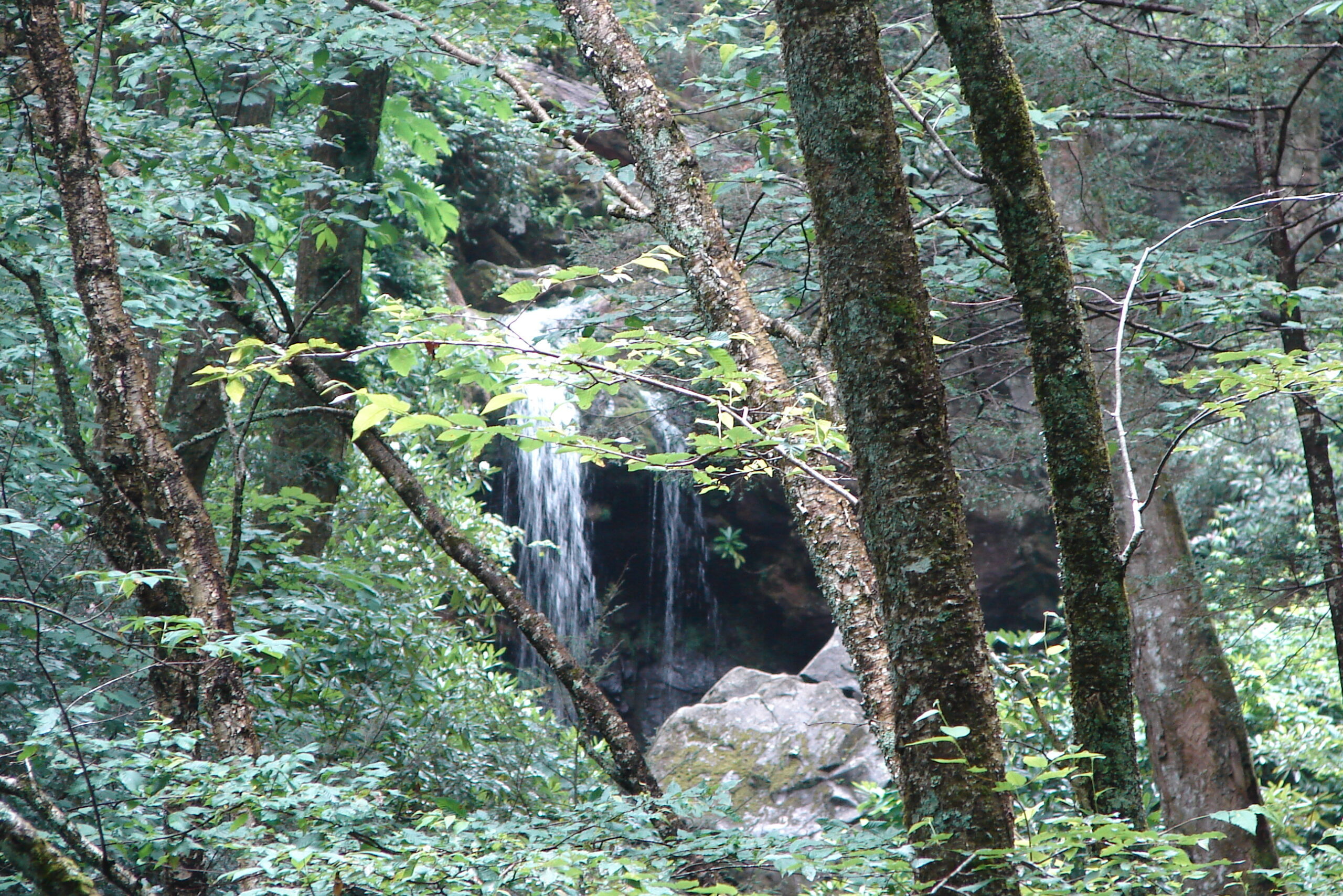 Great Smoky Mountains Overlook Foothills Parkway