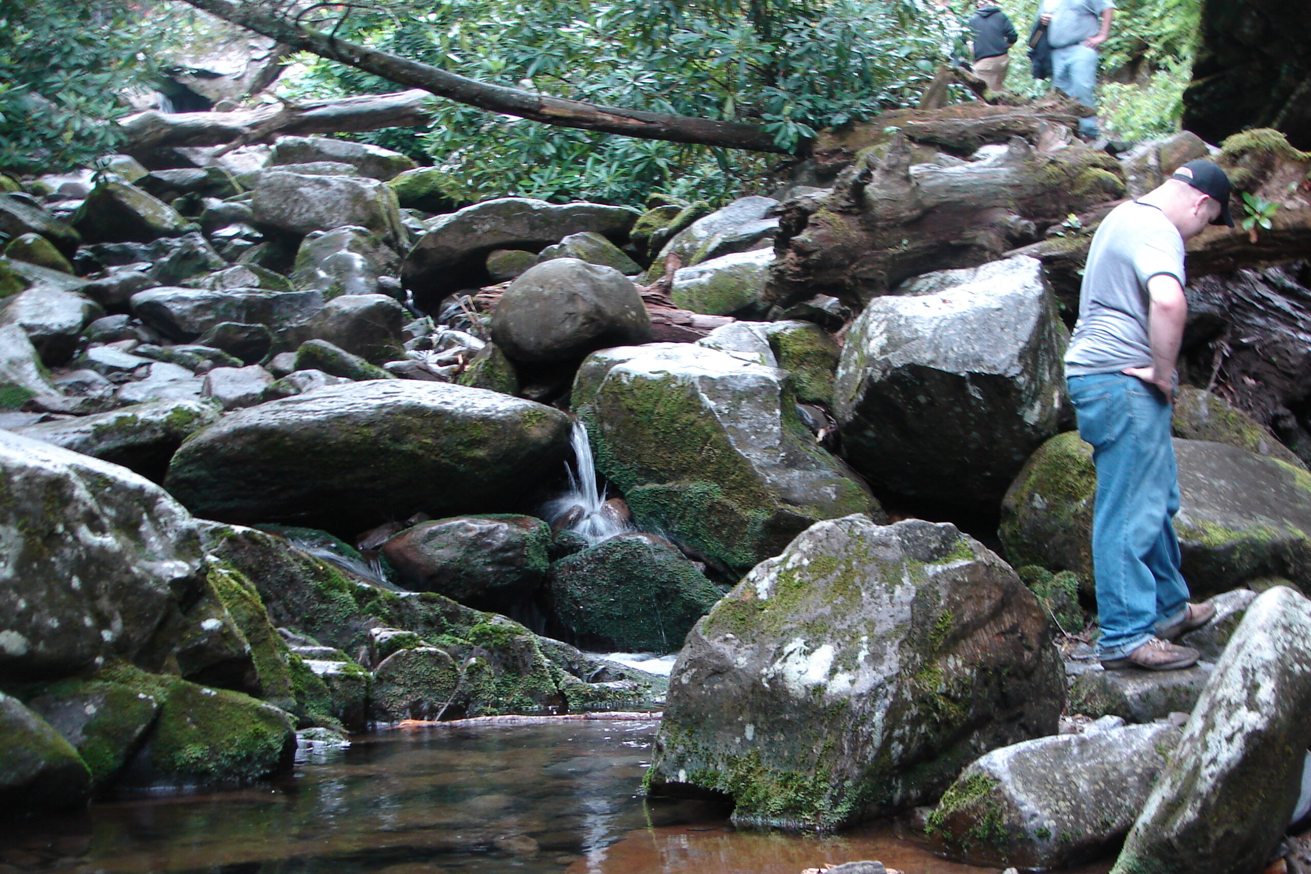 Smoky Mountain Cabin Fall