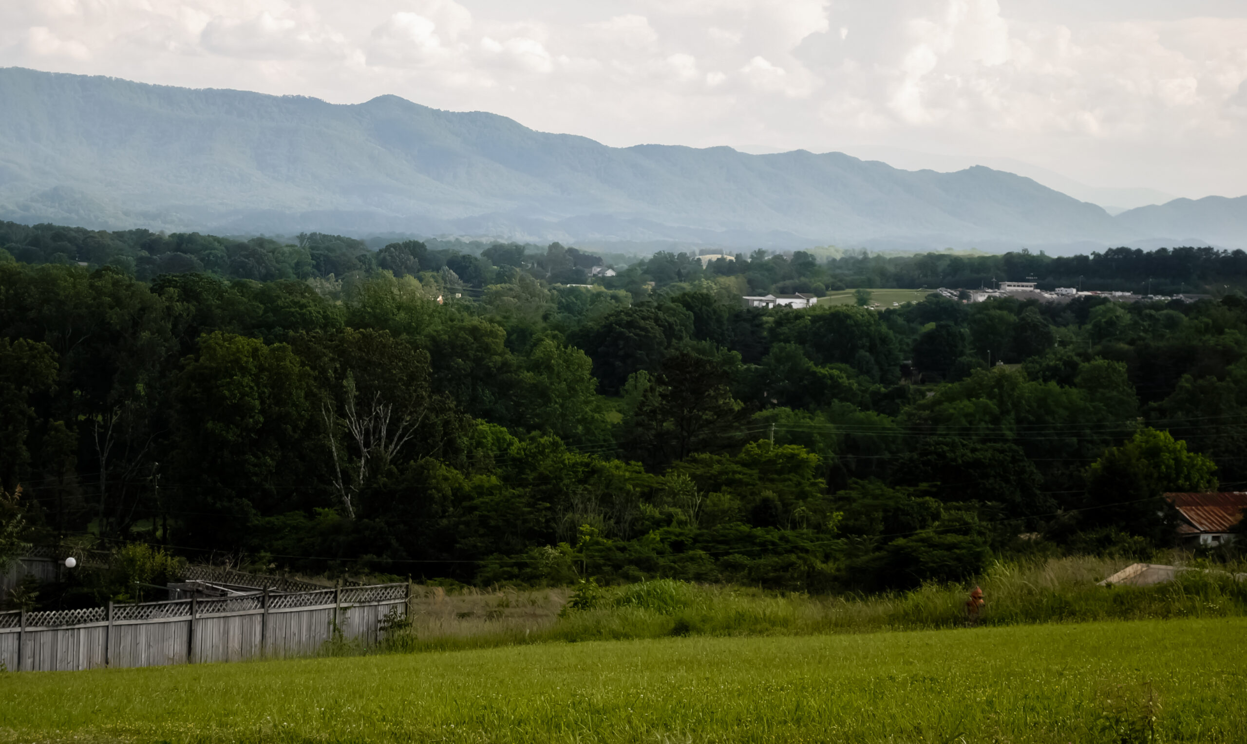 Great Smoky Mountains Ecosystems