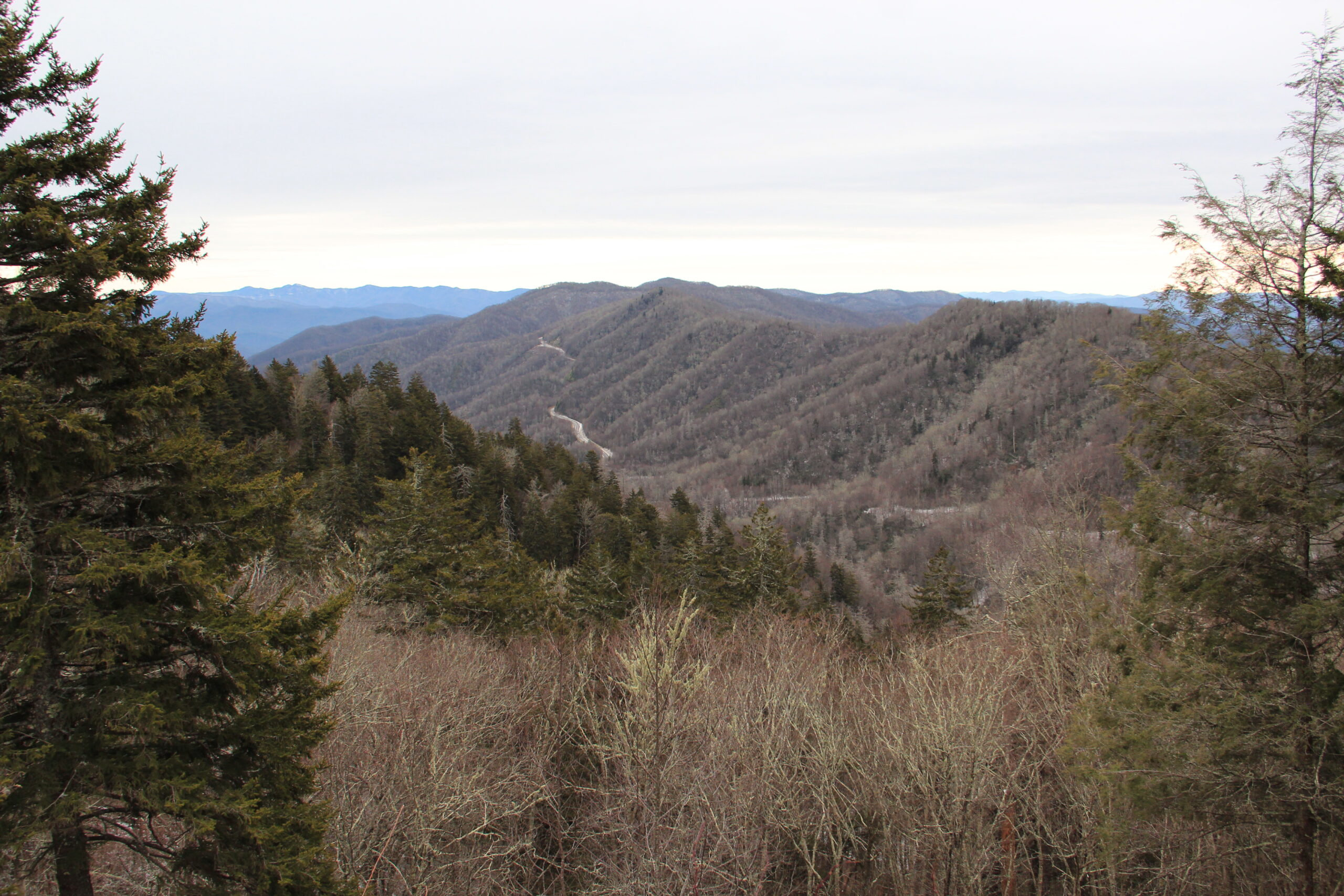 Great Smoky Mountains National Park Forest