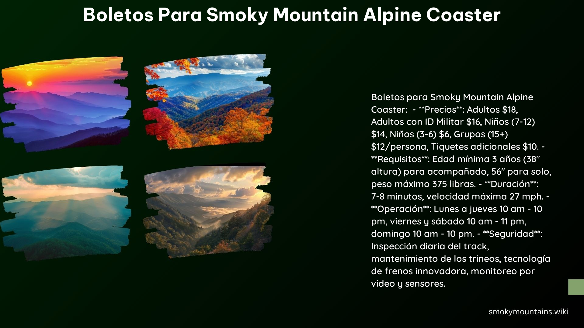 Boletos Para Smoky Mountain Alpine Coaster