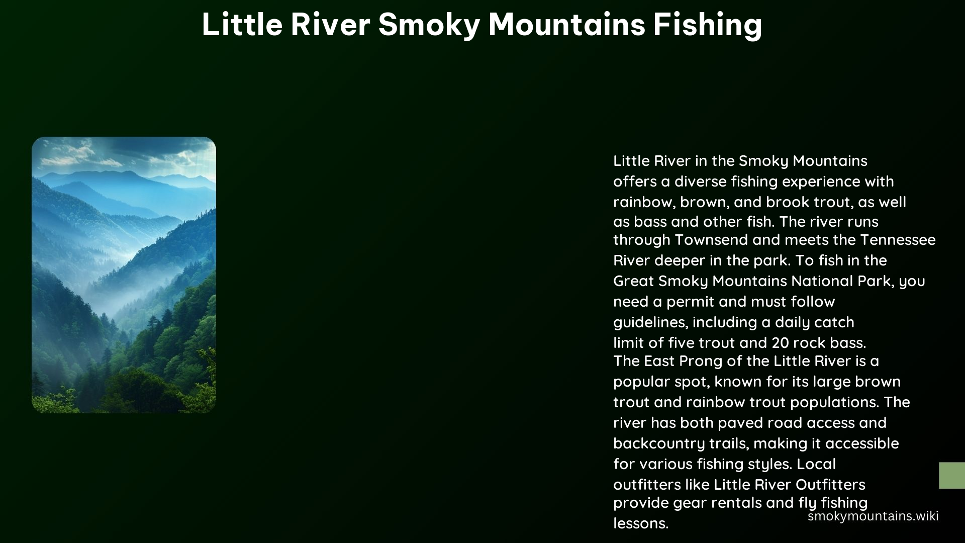 Little River Smoky Mountains Fishing