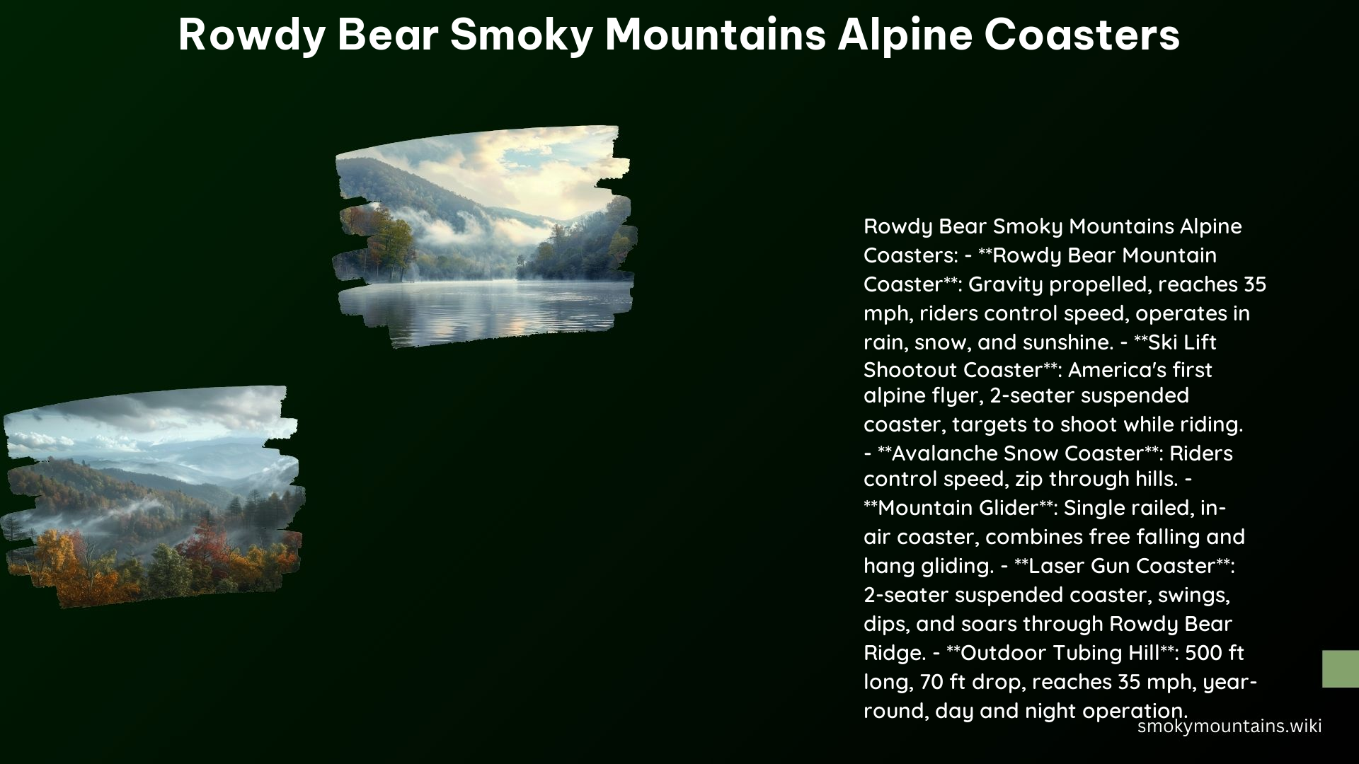 Rowdy Bear Smoky Mountains Alpine Coasters