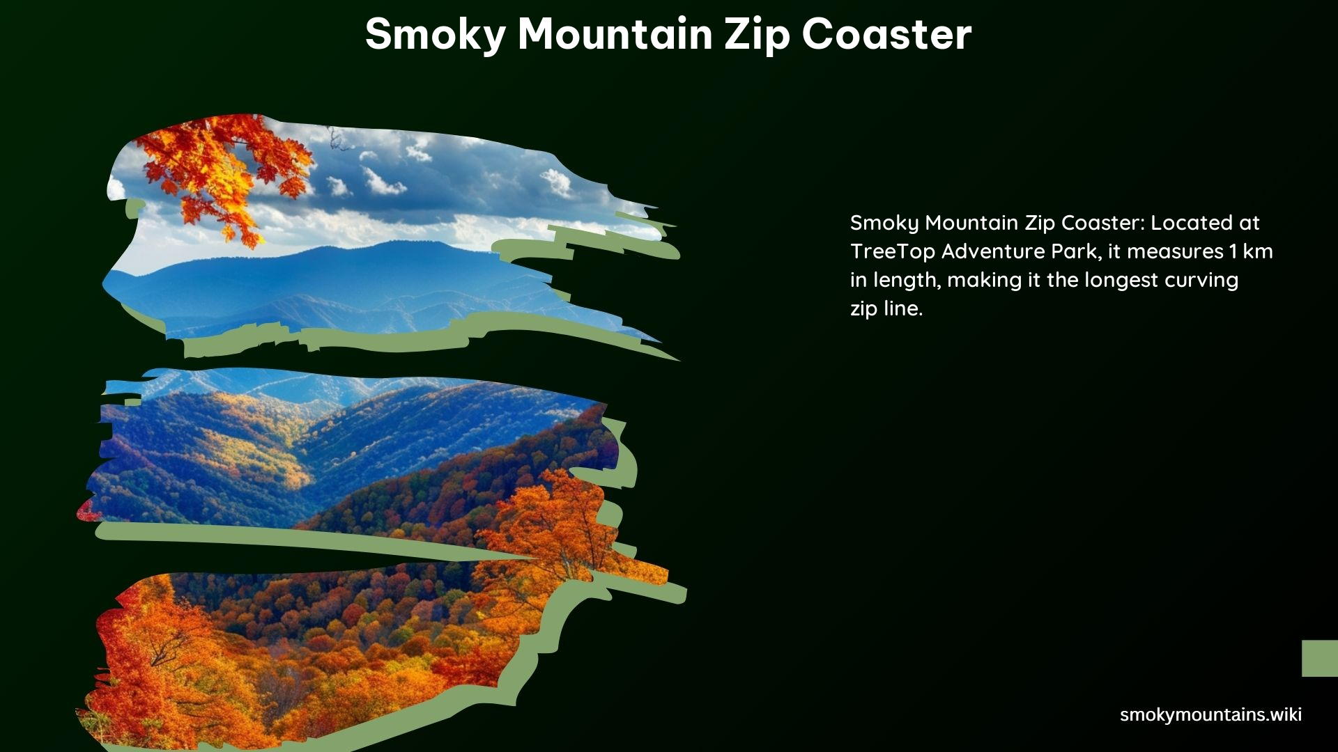 Smoky Mountain Zip Coaster