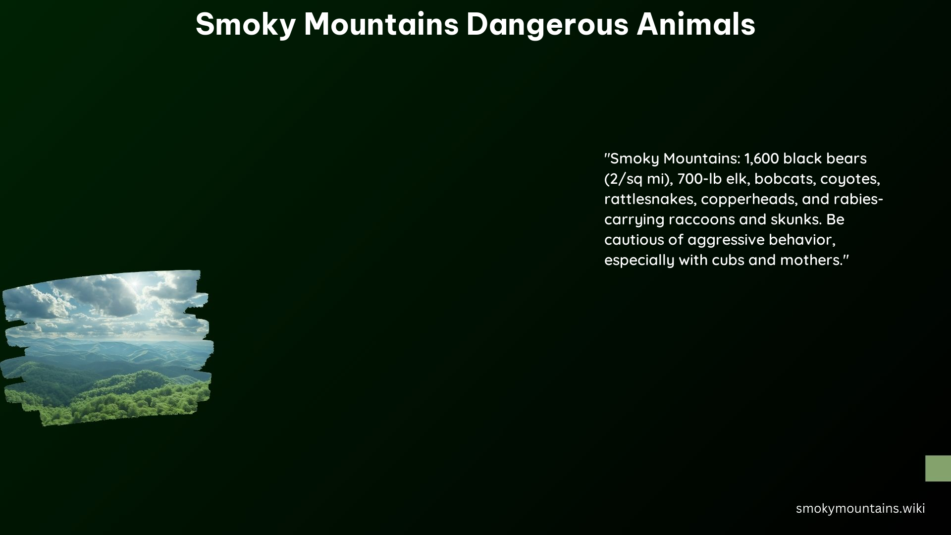 Smoky Mountains Dangerous Animals