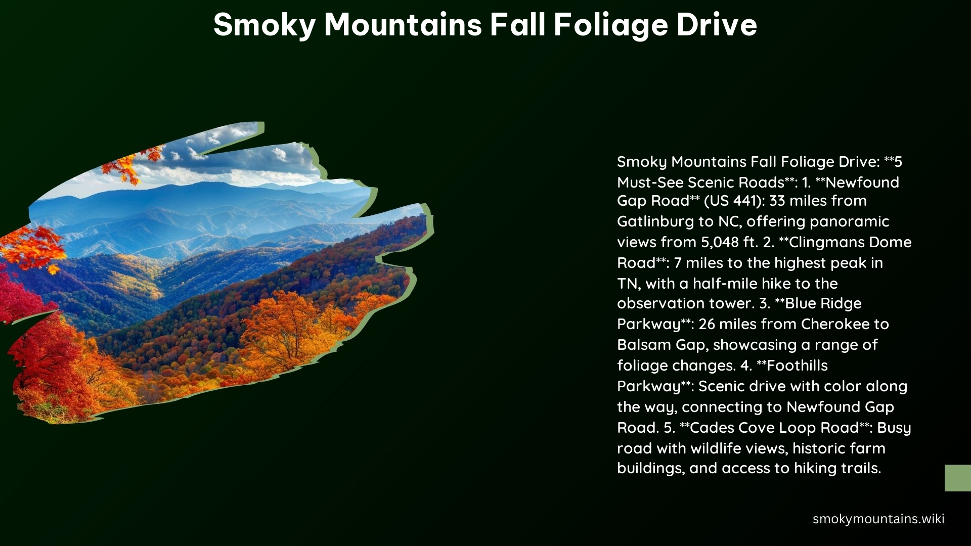 Smoky Mountains Fall Foliage Drive