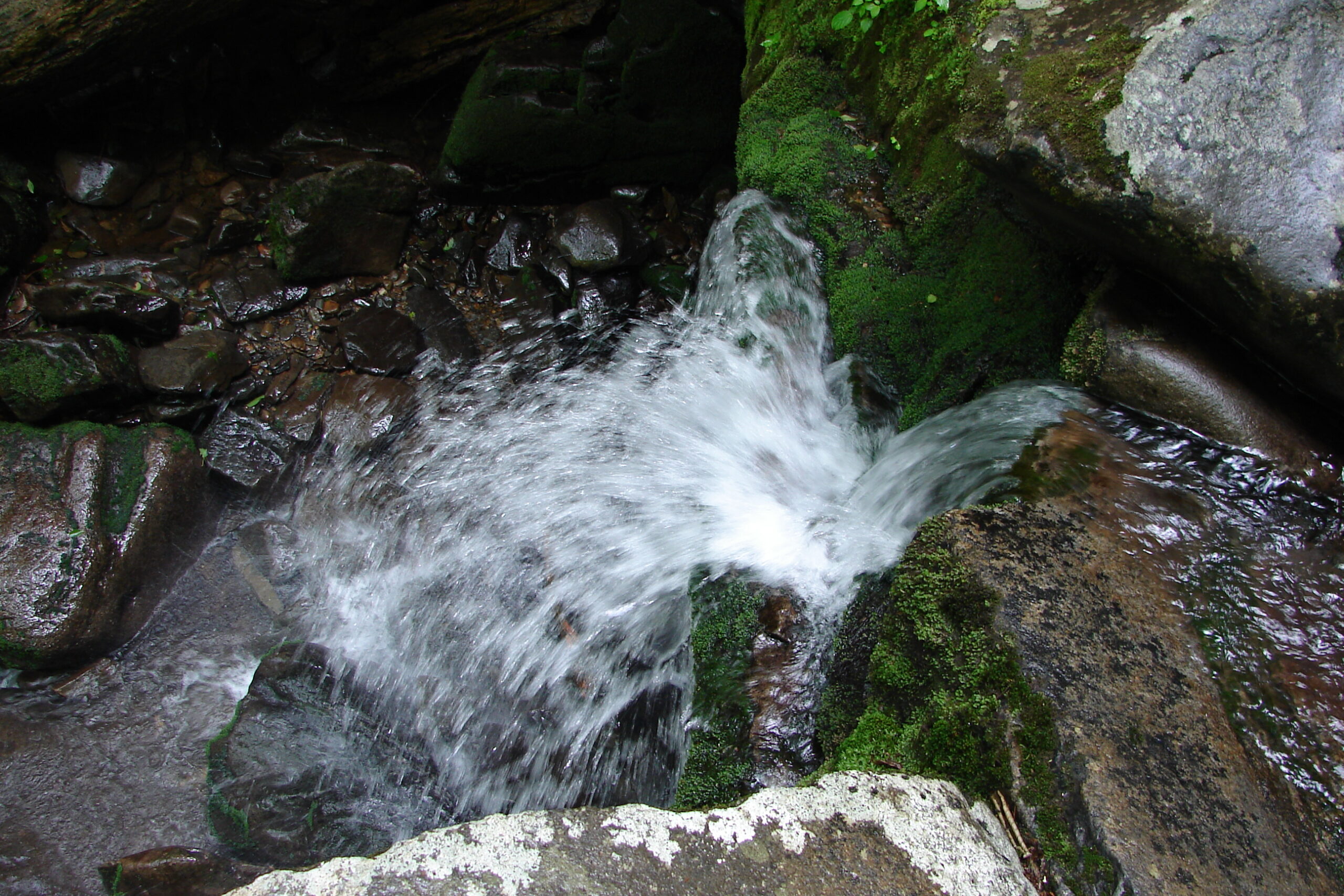 Visitor Centers Pass in Smoky Mountains