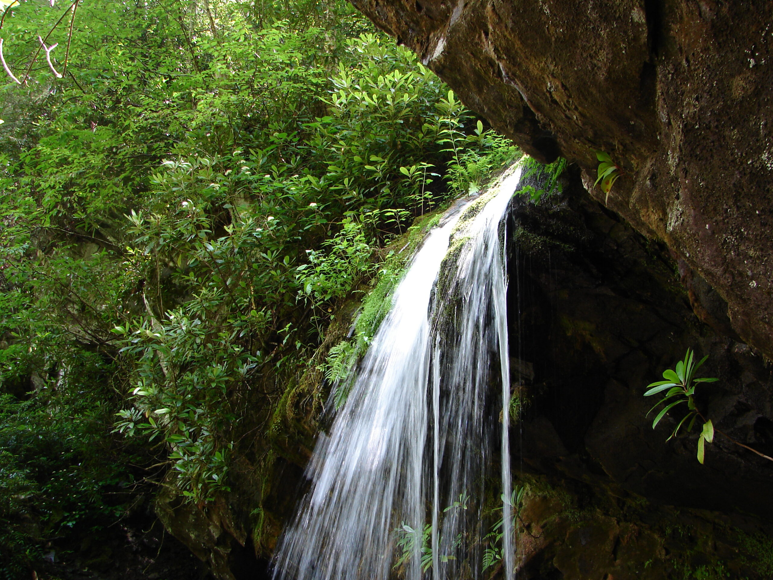 Smoky Mountains Camping Trails