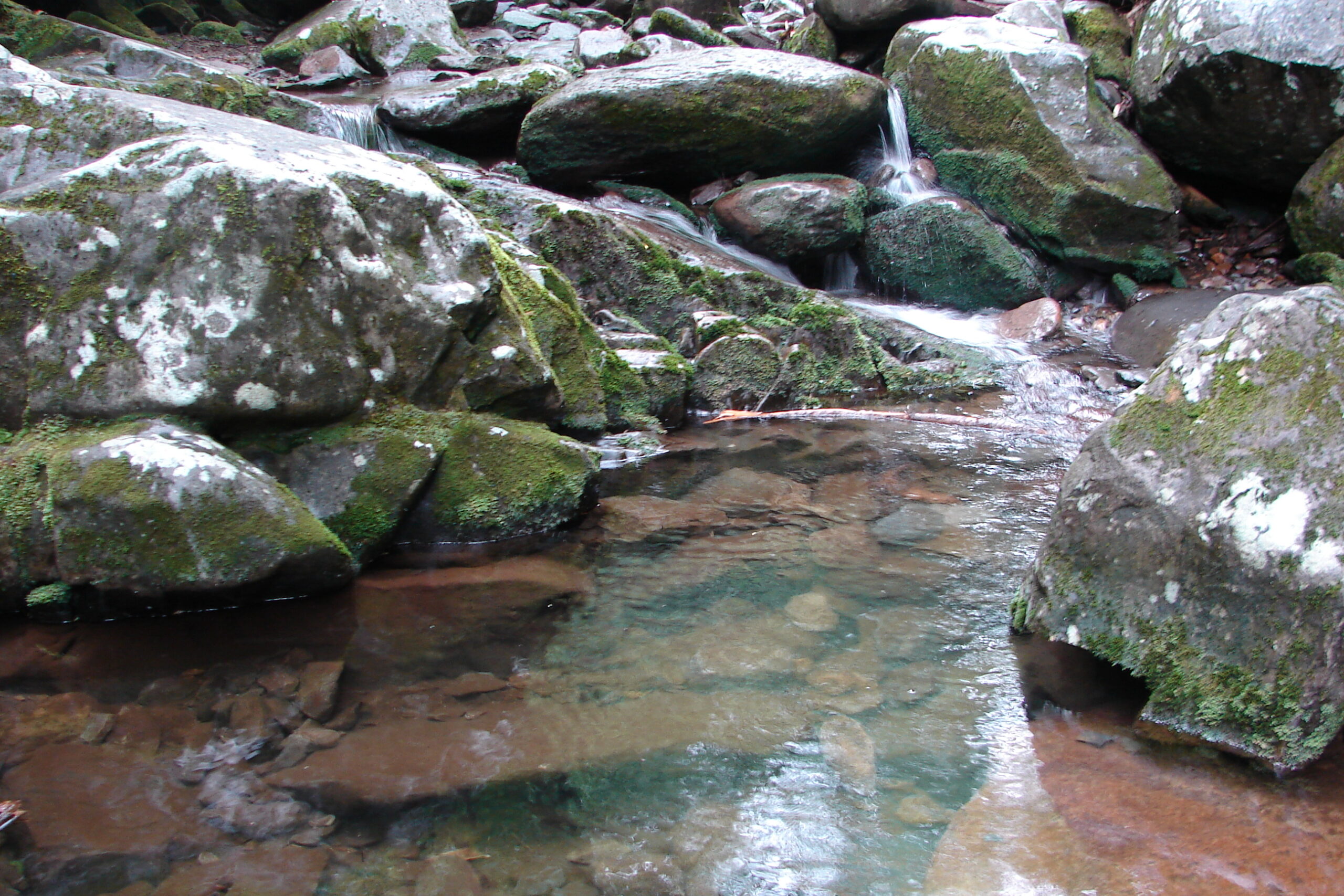 Spence Field Loop Smoky Mountains