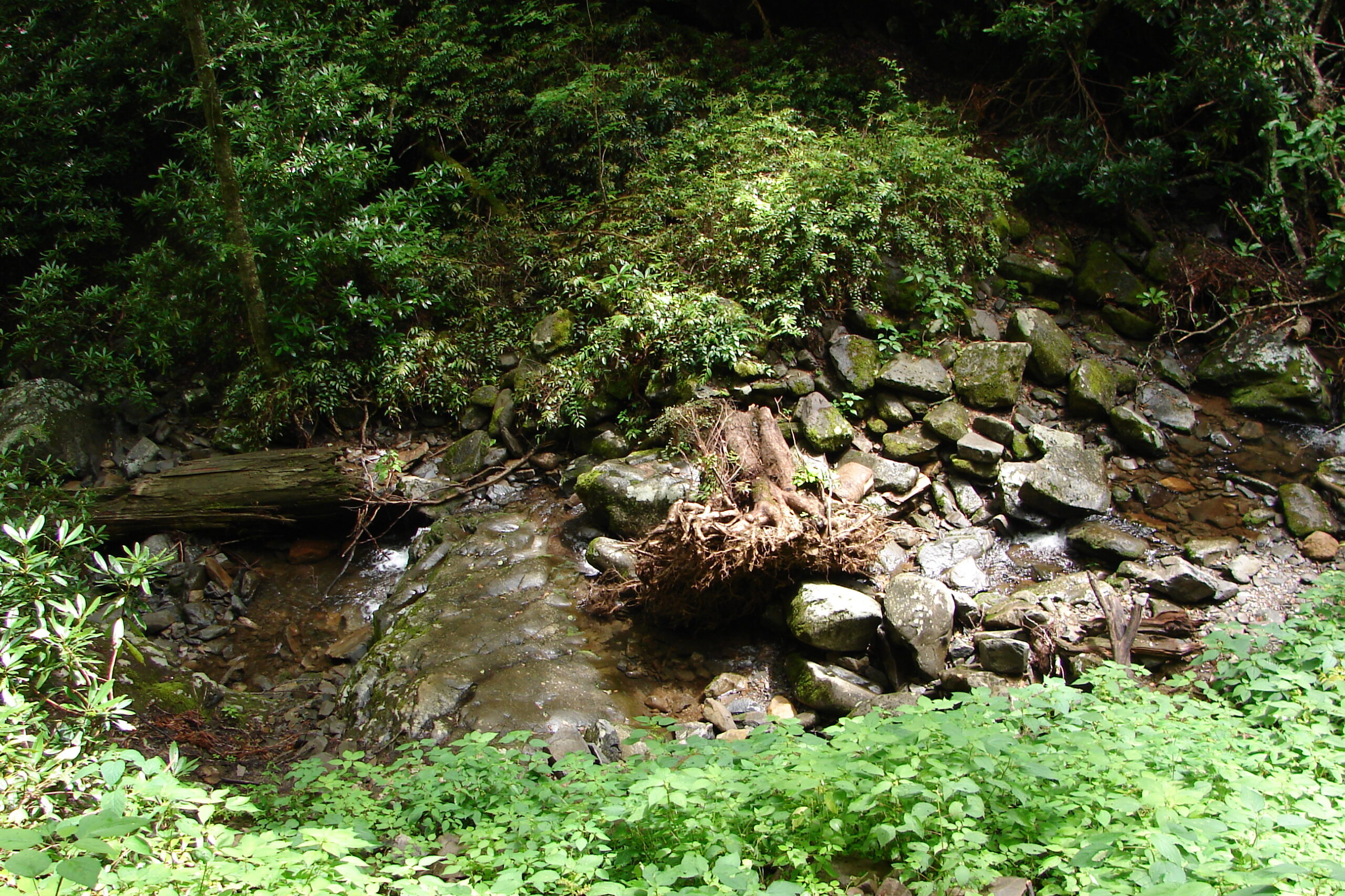 Yurt Camping Smoky Mountains