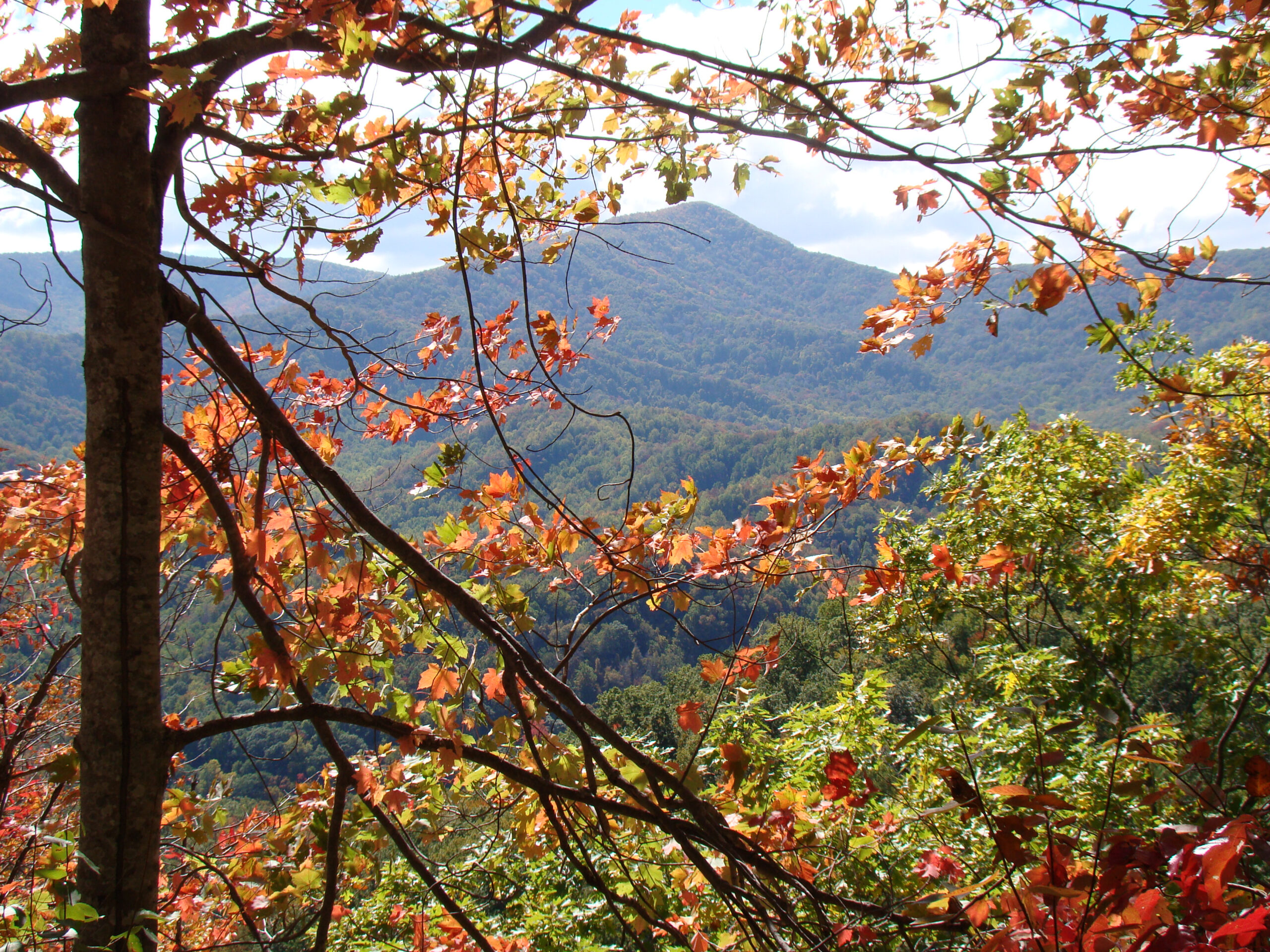 Smoky Mountains Fall Foliage Drive