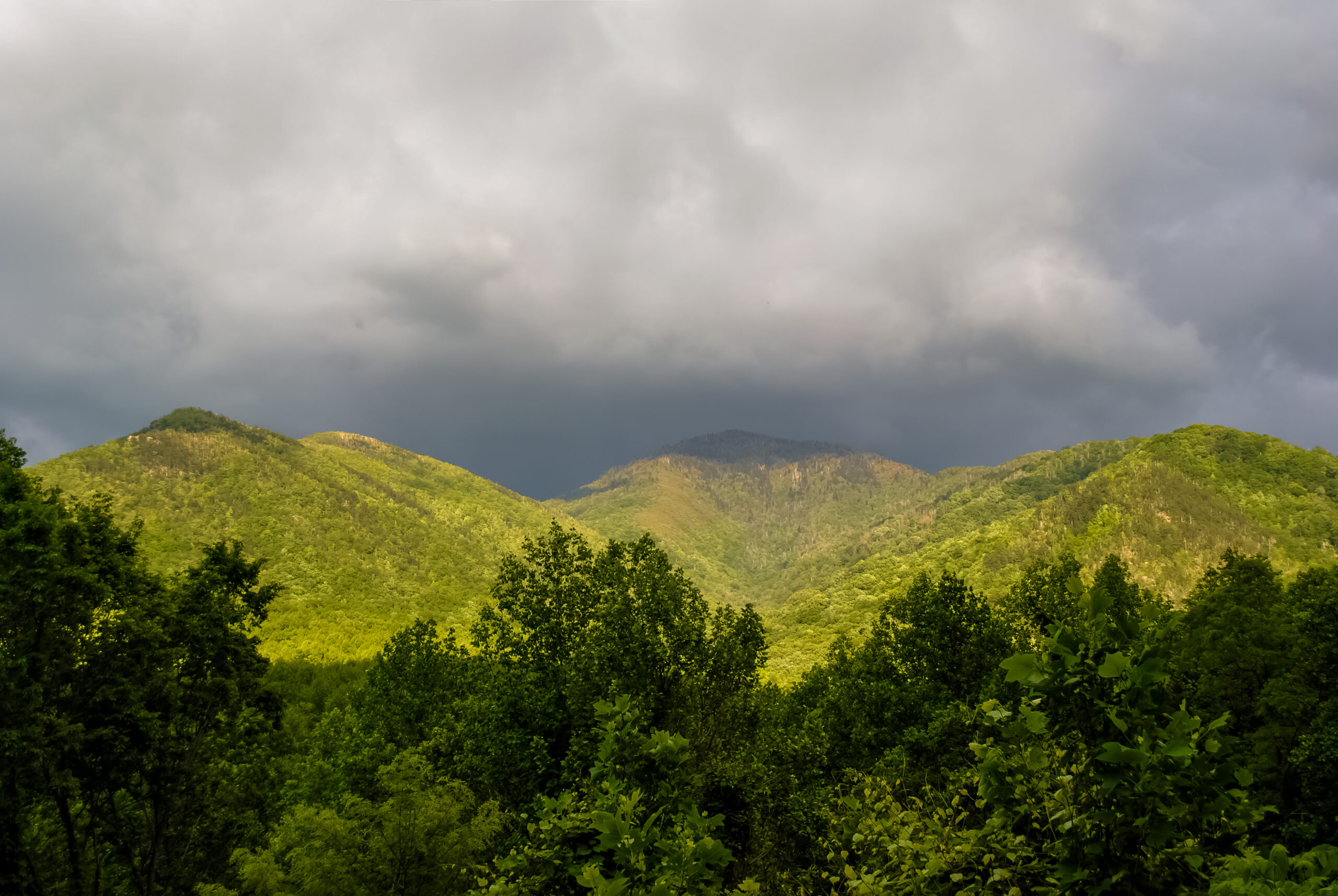 Smoky Mountain National Park Parking Tag