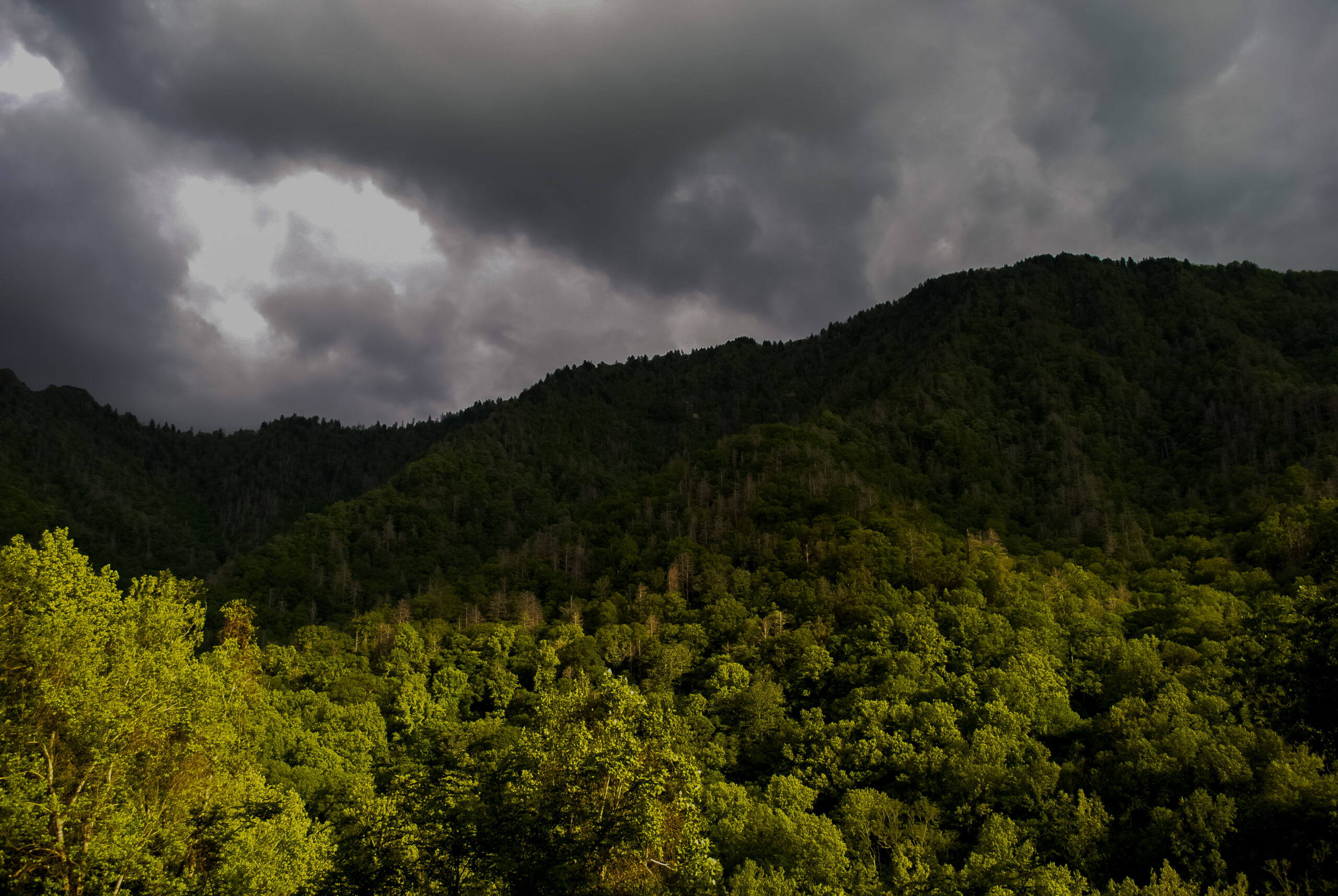 Webb Overlook Smoky Mountains