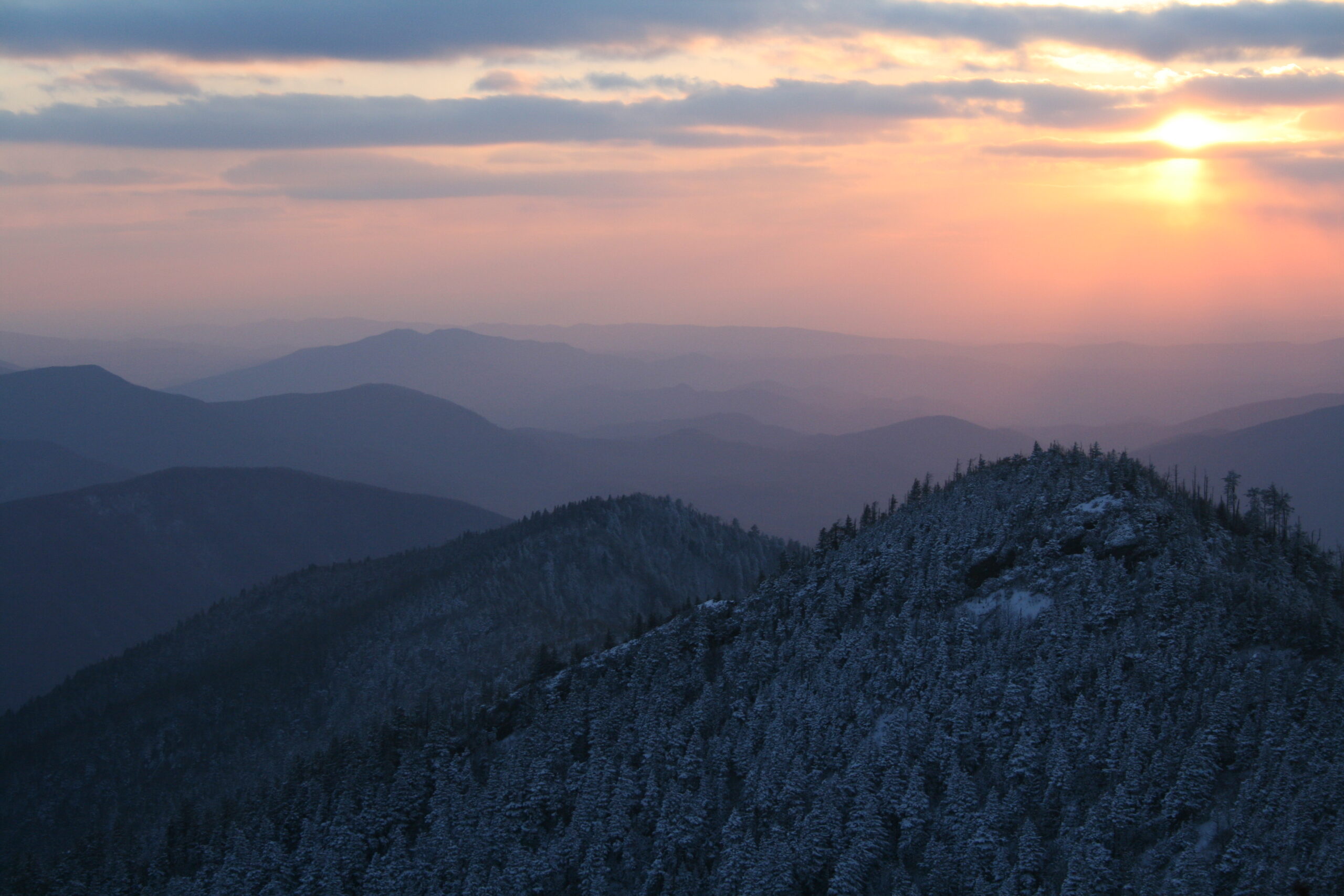 Smoky Mountains Bear Canister