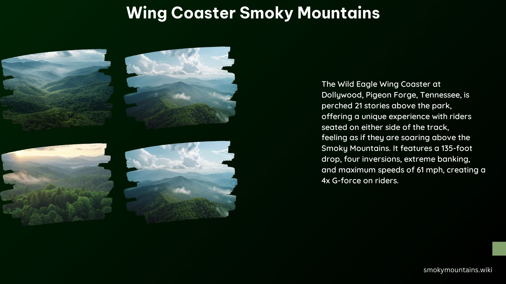 Wing Coaster Smoky Mountains